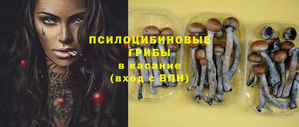 PSILOCYBIN Абинск