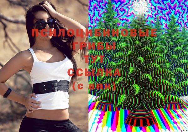 амф Абаза