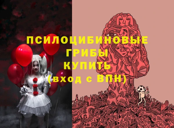 PSILOCYBIN Абинск